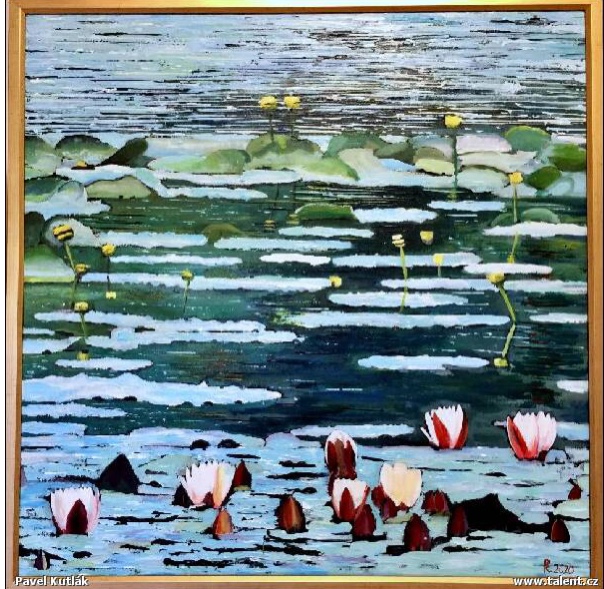 Lekníny v rozkvětu 80x80