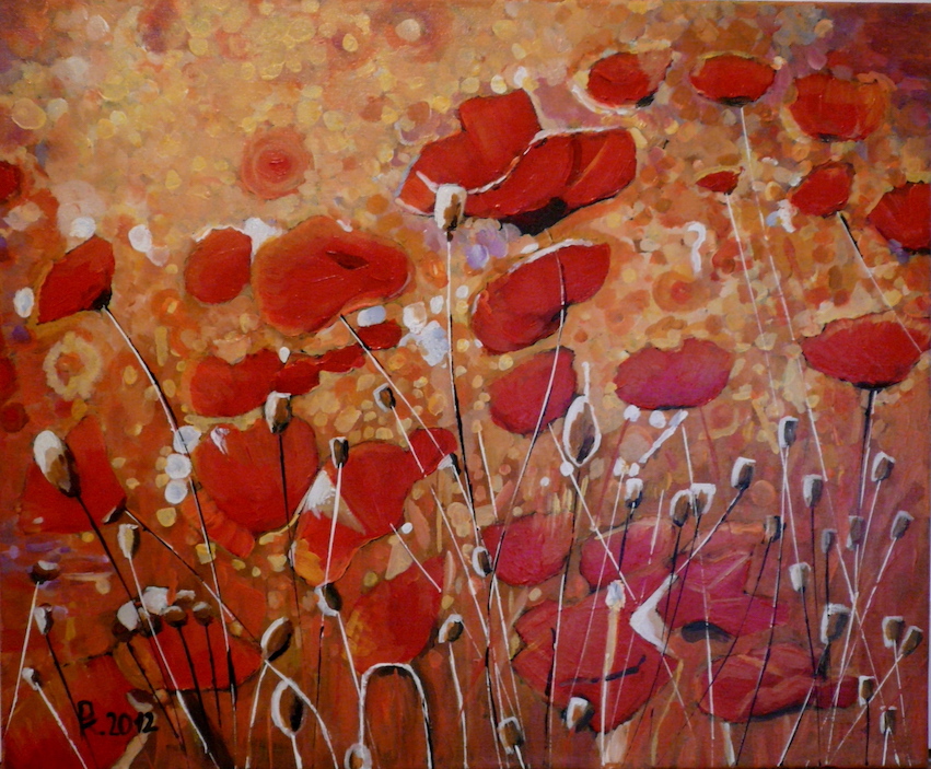 Máky 60x50cm